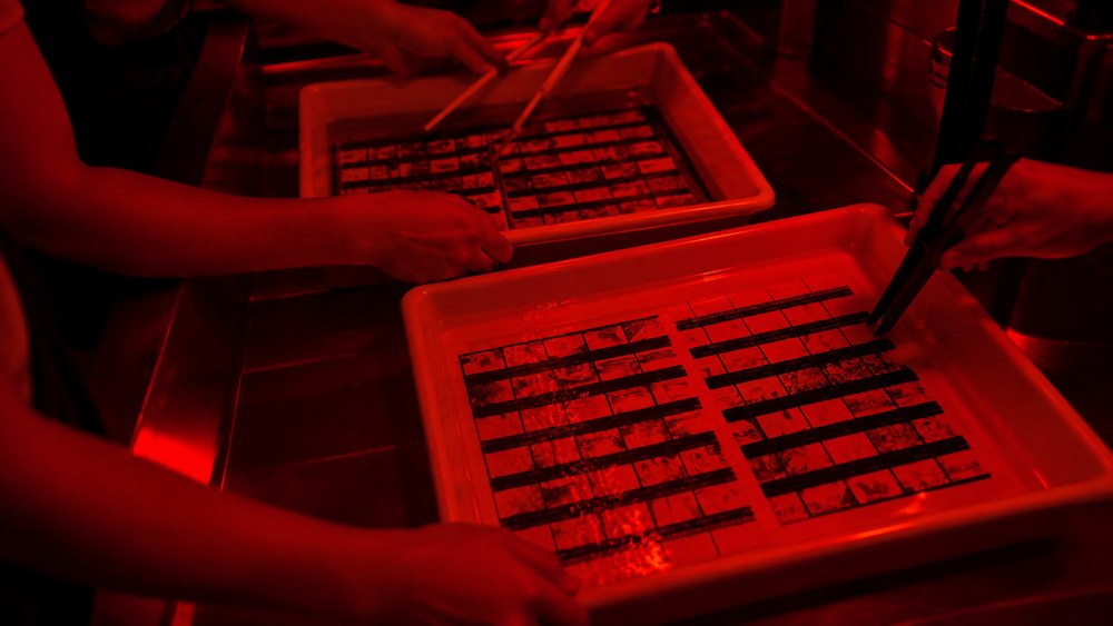 Grupo revelando su película en las bandejas del cuarto oscuro, bajo luz roja de seguridad